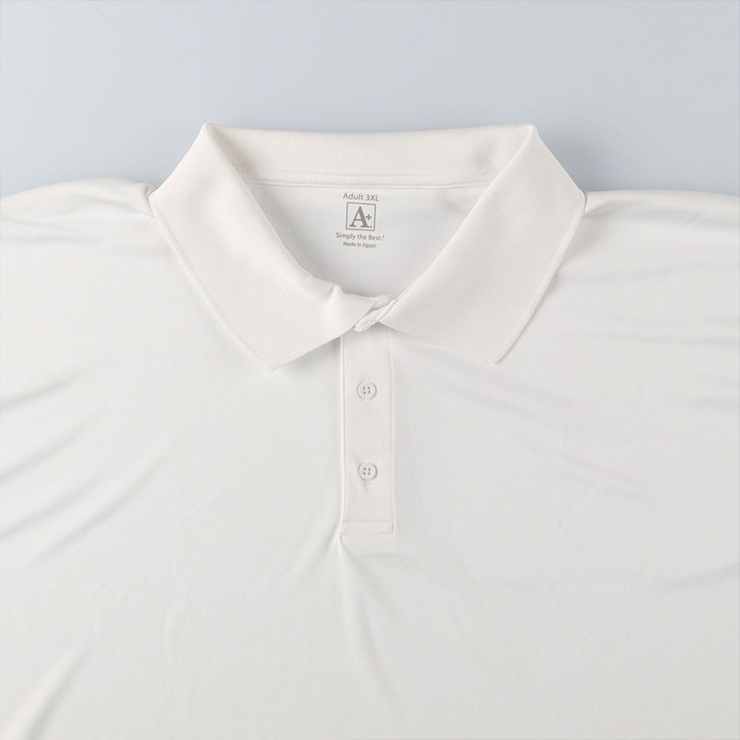 A+ CAREER APPAREL Long Sleeve Polo | 5F SHOP(フィフスフロア